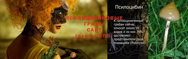 стафф Медвежьегорск