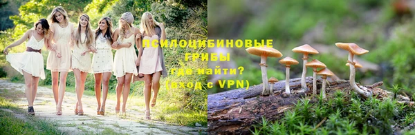 ГАЛЛЮЦИНОГЕННЫЕ ГРИБЫ Медногорск