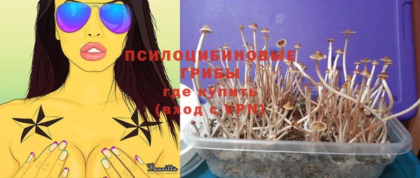 ГАЛЛЮЦИНОГЕННЫЕ ГРИБЫ Медногорск