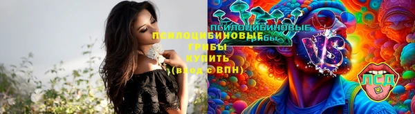 стафф Медвежьегорск