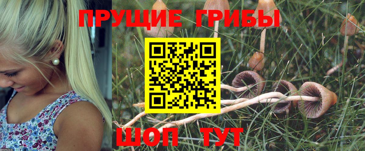 Галлюциногенные грибы мицелий  Вход с VPN  дарнет шоп  Галлюциногенные грибы прущие грибы  Ялуторовск 